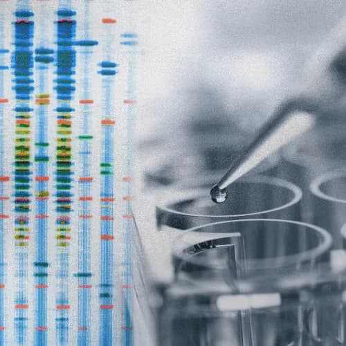 Laboratory equipment and samples